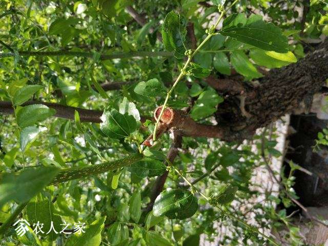 ͼƬIMG_20180530_123705_1.jpg