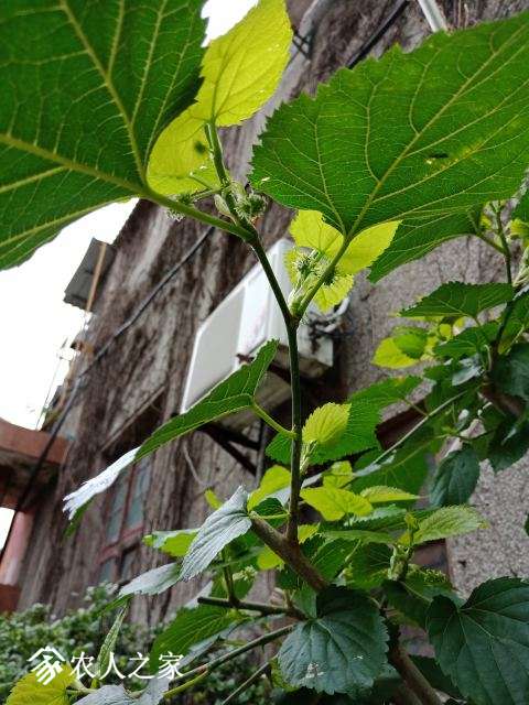 IMG20180530133301.jpg