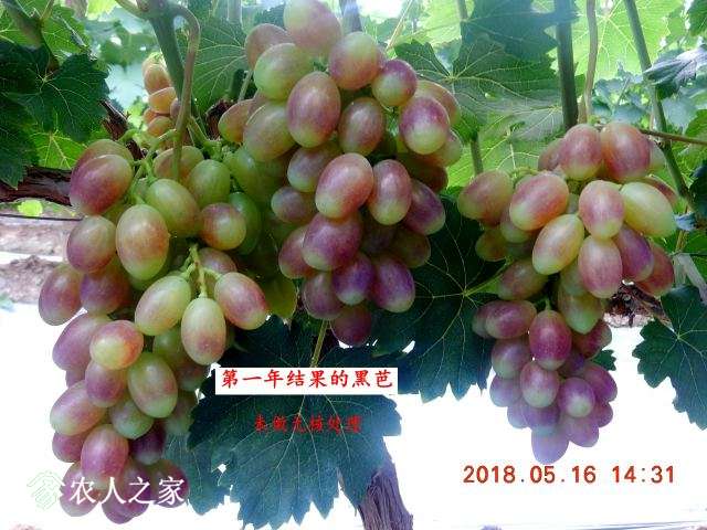021.JPG