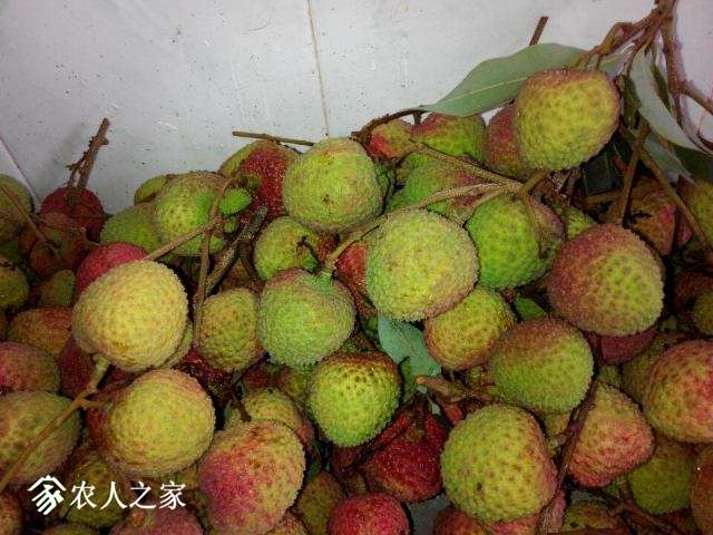 QQͼƬ20150601101725.jpg