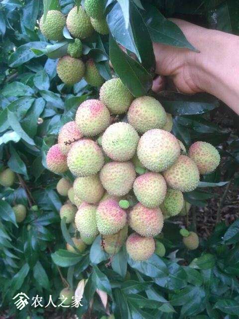 QQͼƬ20150609225459.jpg