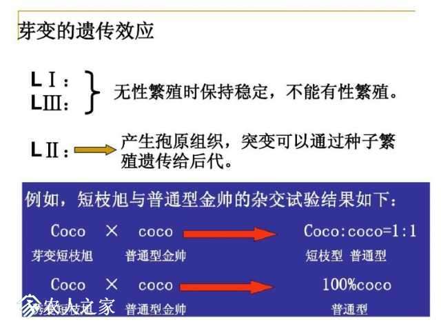 db7ccad27b1744973a768758ef8ed62f.jpg