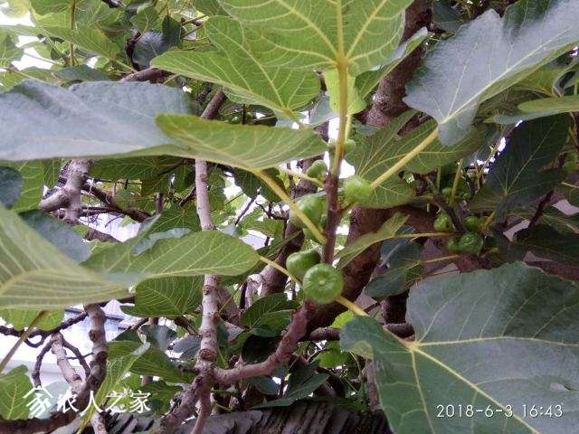 ΢��ͼƬ_20180604102304.jpg
