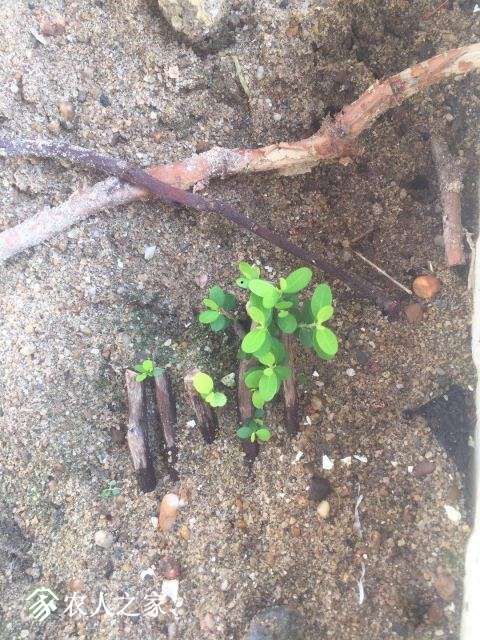 ΢ͼƬ_20180604125033.jpg
