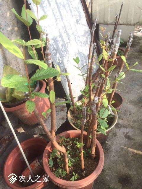 ΢ͼƬ_20180604125058.jpg