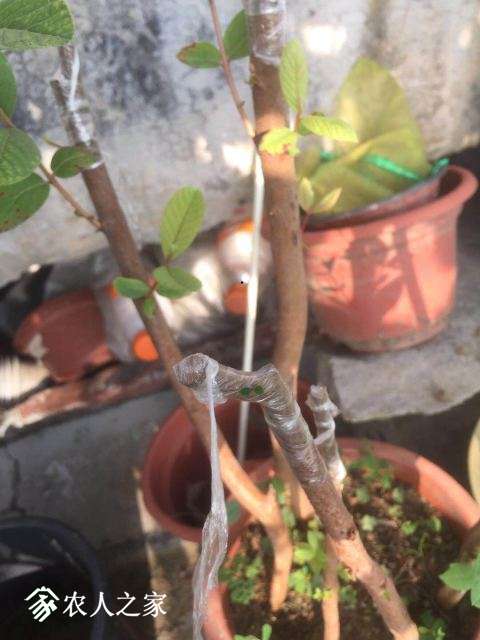 ΢ͼƬ_20180604125105.jpg