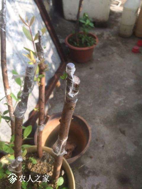 ΢ͼƬ_20180604125112.jpg
