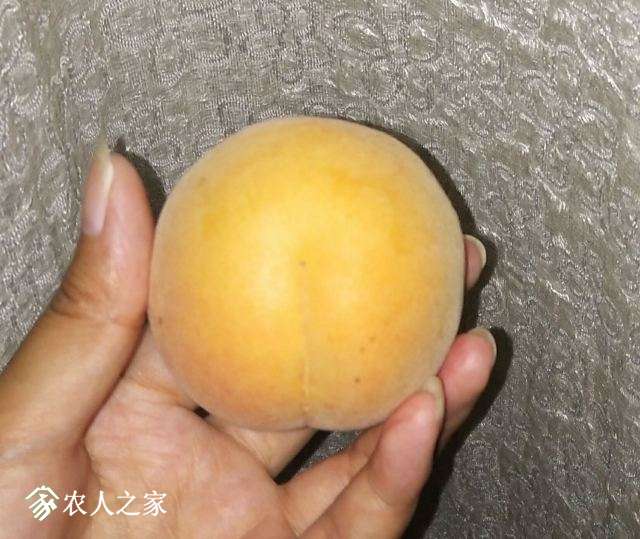 QQͼƬ20180604203840.jpg