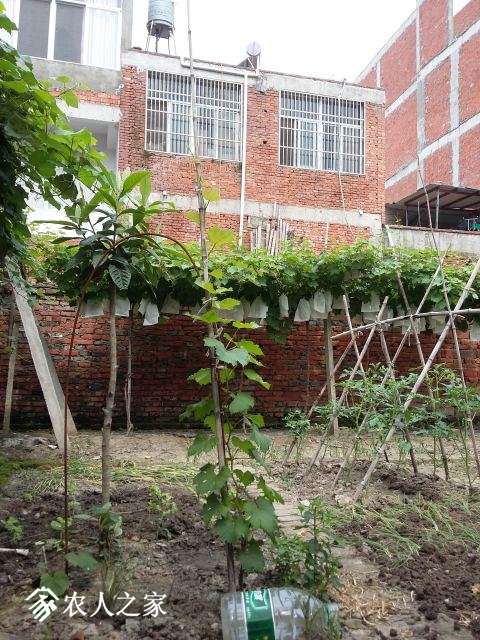 20180605_100736.jpg