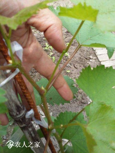 20180605_100810.jpg