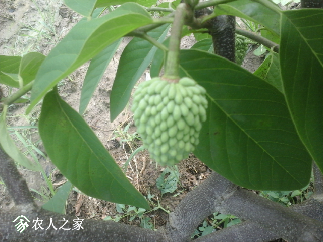 20180604_085251.jpg