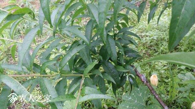 20180605_171749_resized.jpg