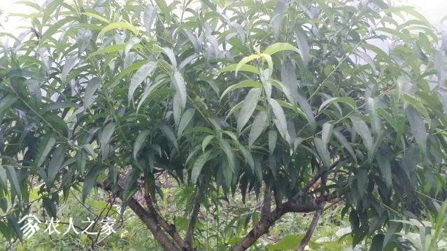 20180605_172517_resized.jpg