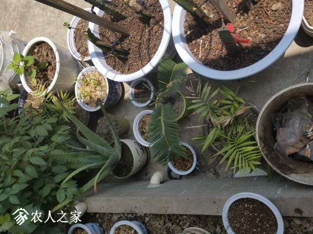 �����ҵ�