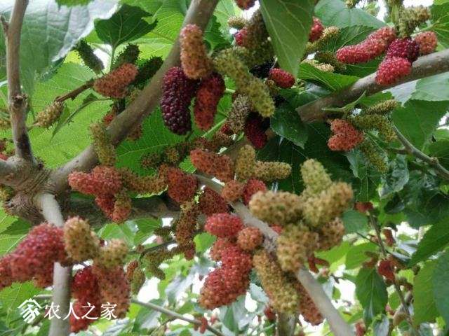 ΢ͼƬ_20180517101517.jpg