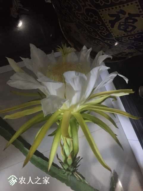 image.jpeg