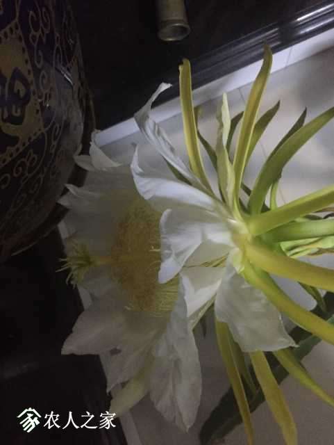 image.jpeg