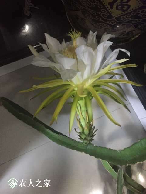image.jpeg