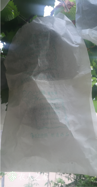 ΢ͼƬ_20180609193620.png