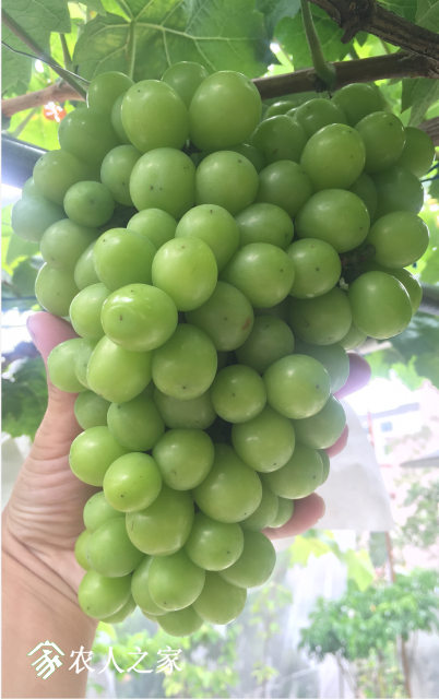 ΢ͼƬ_20180610121838.png