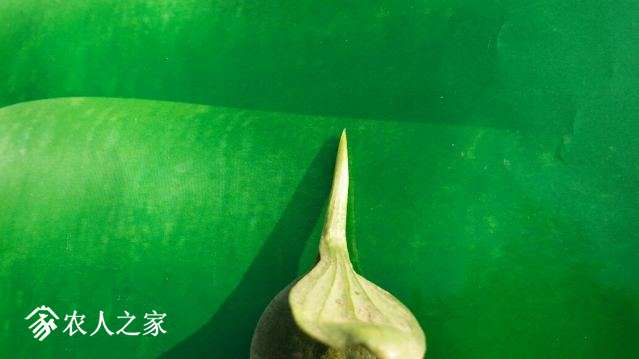 20180512_164914_resized.jpg