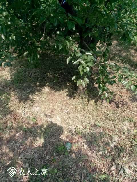 IMG_20180612_084008.jpg