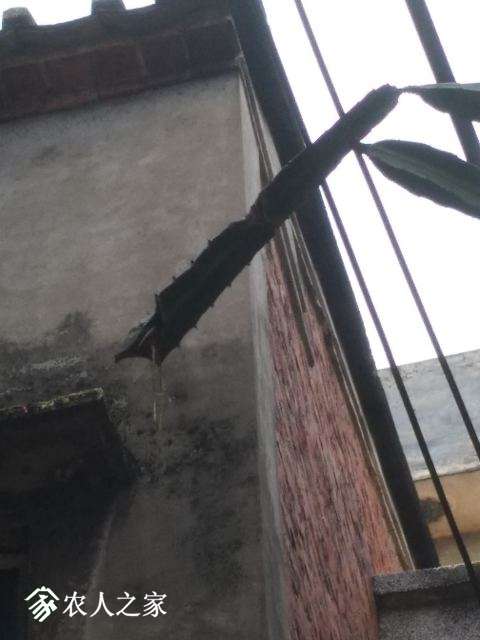 ΢��ͼƬ_20180612143020.jpg