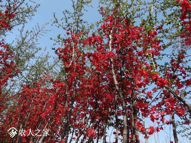 DSC04090.jpg