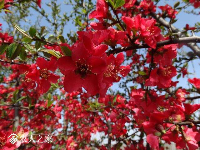 DSC04092.jpg
