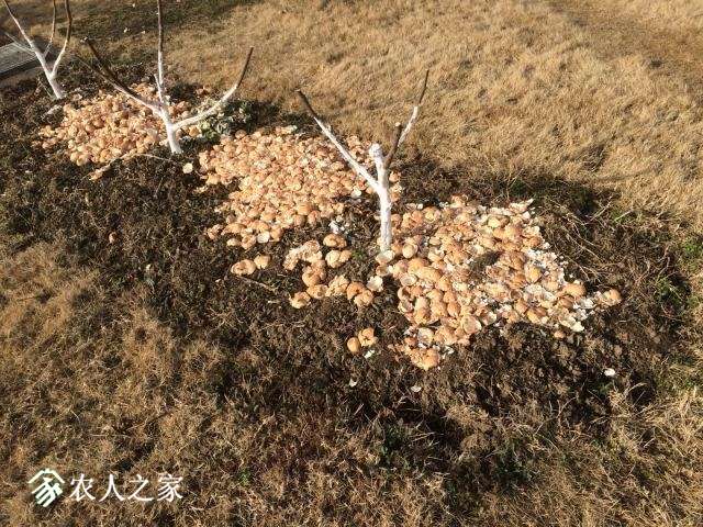΢ͼƬ_201802121114523.jpg