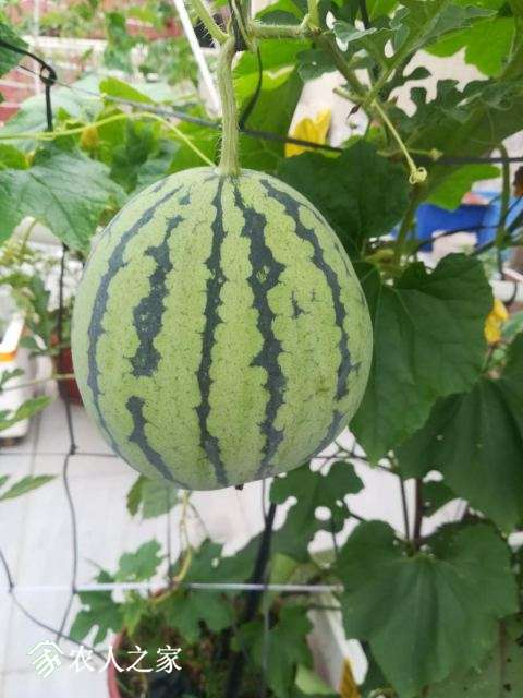 ΢��ͼƬ_20180615185145.jpg