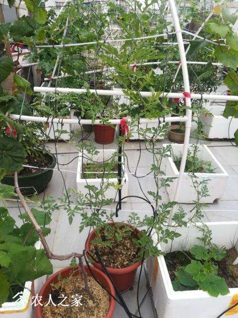 ΢��ͼƬ_20180615185237.jpg