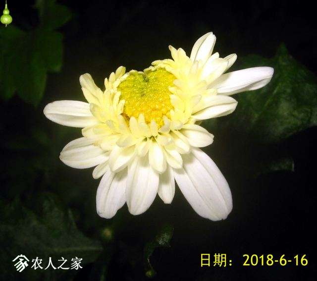 IMG_5450.jpg