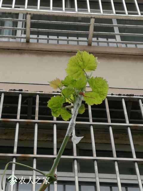 IMG_20180618_084124.jpg