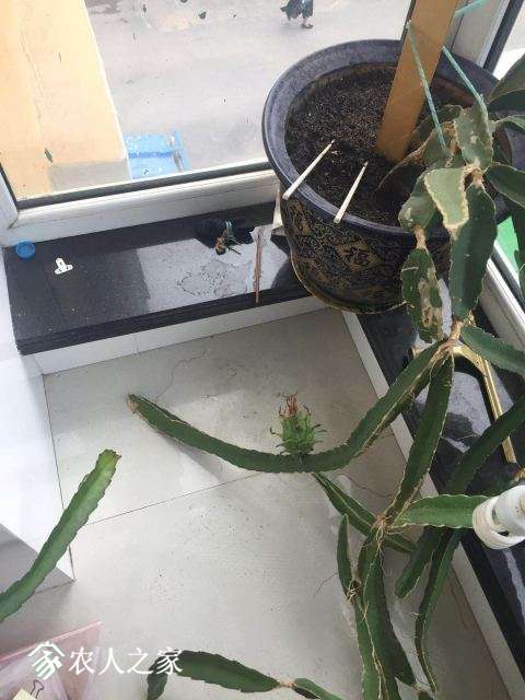 ΢ͼƬ_20180619074202.jpg