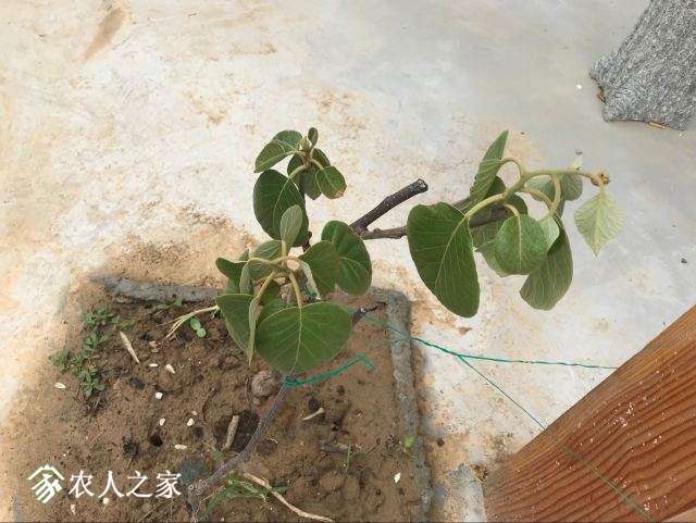 QQͼƬ20180620151522.jpg