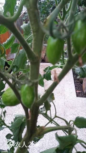 20180620_180246.jpg