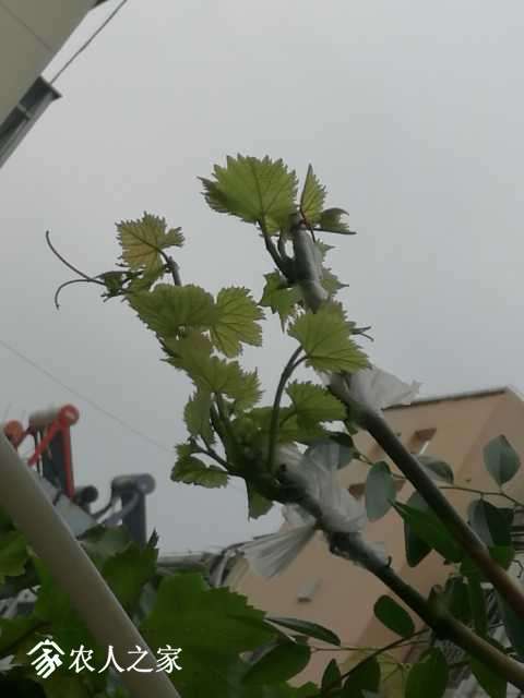 IMG_20180618_084144.jpg