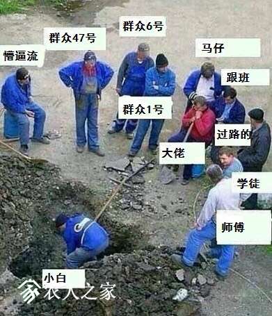 234541b2bio385w3z2ignk.jpg