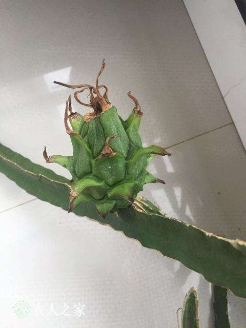 ΢ͼƬ_20180625110156.jpg