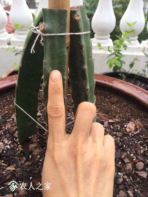 QQͼƬ20180626101119.jpg