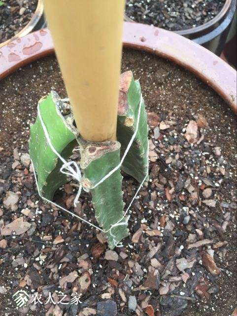 QQͼƬ20180626101127.jpg