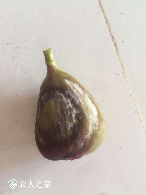 QQͼƬ20180627151234.jpg