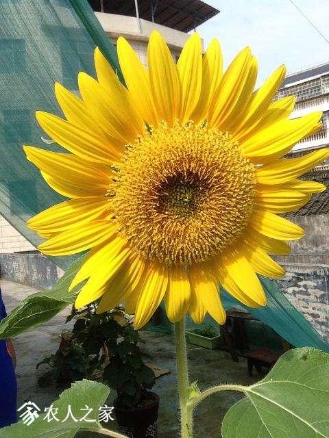 ΢��ͼƬ_20180629135636.jpg