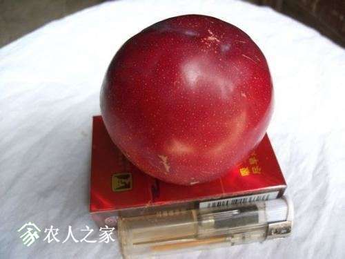 u=2675858527,2669802187&amp;fm=27&amp;gp=0.jpg