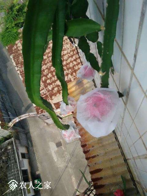 ΢ͼƬ_20180630121249.jpg