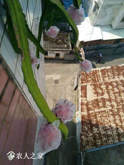 ΢ͼƬ_20180630121303.jpg
