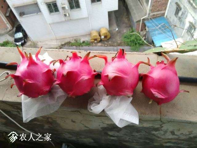 ΢ͼƬ_20180630121314.jpg