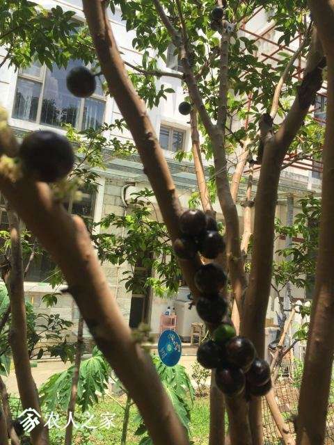 QQͼƬ20180701141205.jpg