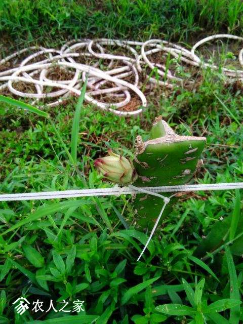 ΢ͼƬ_20180703205449.jpg